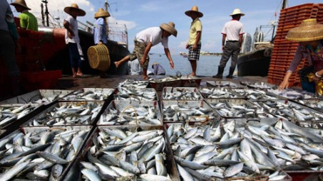 Tra fish exports to US on course 