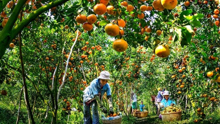 Minister slams slow pace of agriculture investment 