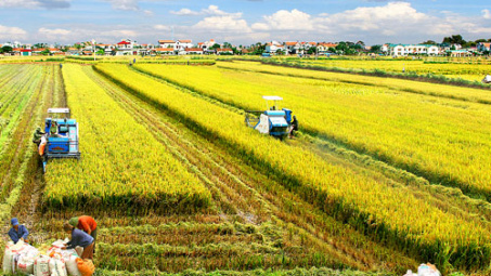 Agricultural sector likely to achieve growth target this year 