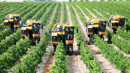 Can Tho eyes expanded ties with Australia in hi-tech agriculture 