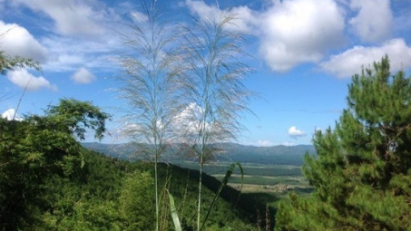 Kỳ II: Sạc Ly cần gìn giữ môi trường, hệ sinh thái bền vững