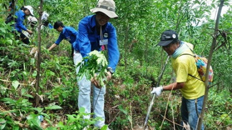 Another company joins Global Forestry and Trade Network 