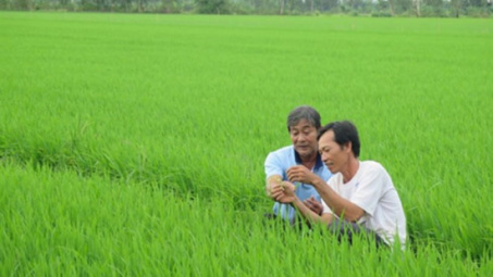 Artels to be treated as normal businesses 