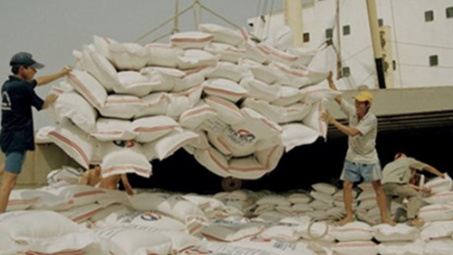 Rice export goal raised to 5.6 million tonnes this year 