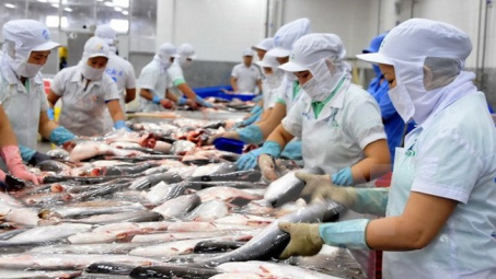 Tra fish fair to take place in October 