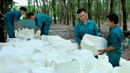 Vietnam’s top rubber firm valued at 177.8 million USD 