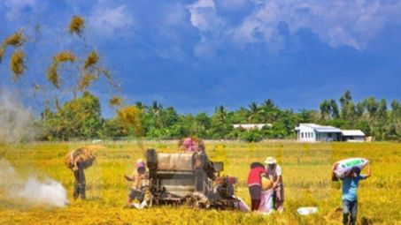 Can Tho city posts strong export growth in nine months 