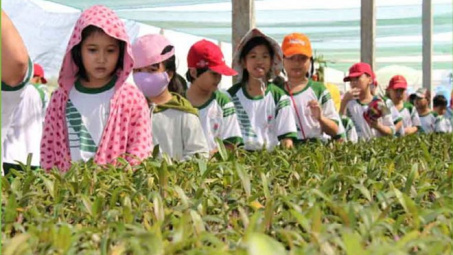 Ho Chi Minh City seeks solutions to promote agriculture tourism 