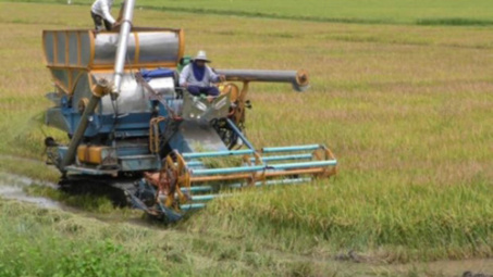 Dien Bien cooperates with northern Lao provinces to develop agriculture 