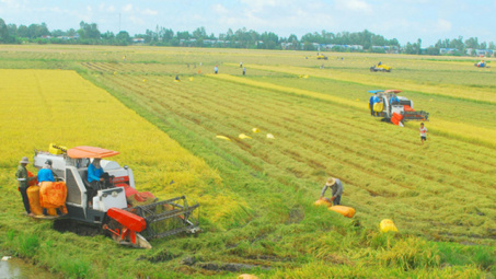 Vai trò của các loại hình tín dụng đối với thu nhập của nông hộ sản xuất lúa: Trường hợp các nông hộ trên địa bàn tỉnh Kiên Giang