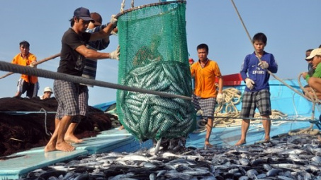 Tien Giang’s fishermen enjoy bumper catch 