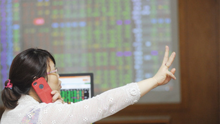 VN-Index extends gain on large caps 