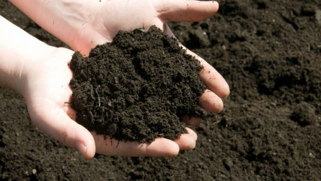 Experts urge organic fertiliser use 