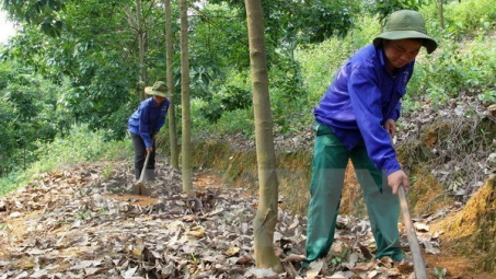 Natural rubber producing countries convene conference in Ho Chi Minh City 