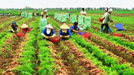 Hai Duong province calls for investment in agriculture