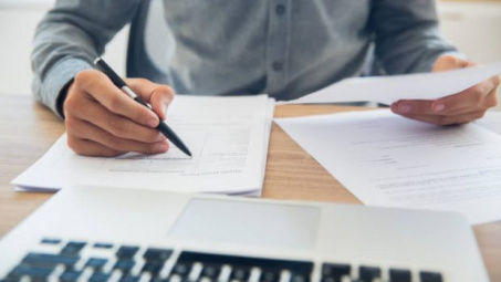 Insurance sector revenue grows 19 percent