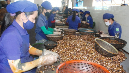 Department works to foster farm produce processing and marketing