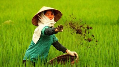 Sharp rise in fertiliser imports in first quarter 