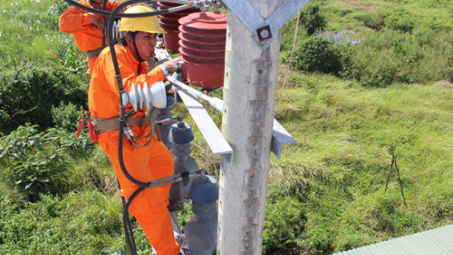 EVN brings electricity to rural areas, islands
