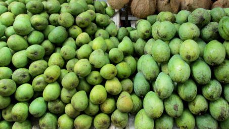 Son La mangoes irradiated for export to Australia 