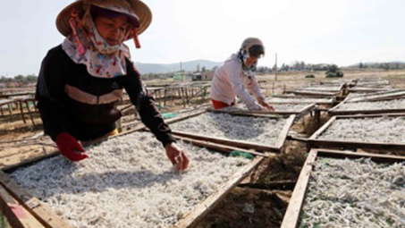 Binh Dinh targets 4.5 billion USD in exports in five years 