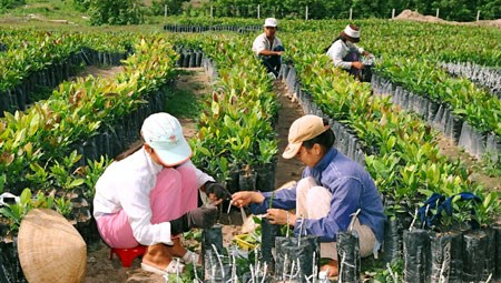 Vietnam to host 10th Asia Pacific Cooperative Minister’s Conference 