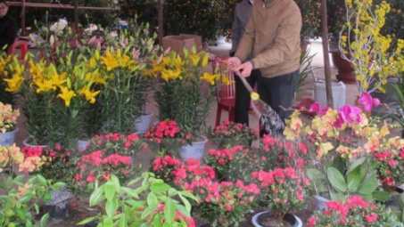 Japanese floriculture firm to invest in Lam Dong 