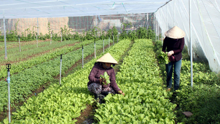 Organic agriculture seeks solutions to grow 