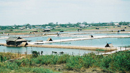 Plan to develop shrimp industry submitted 