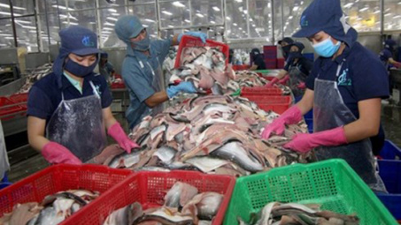 Unsafe produce hurting exports 