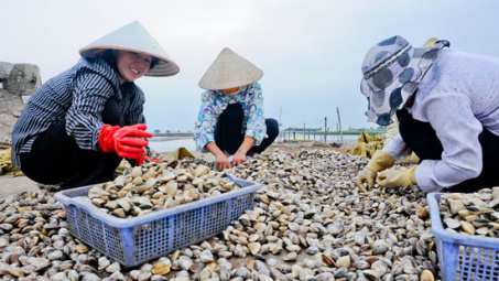 First container of Vietnam’s ngao oysters shipped to Italy