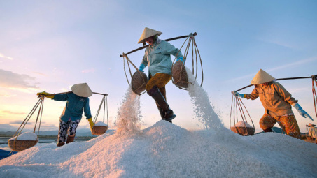 Bac Lieu salt prices rise sharply