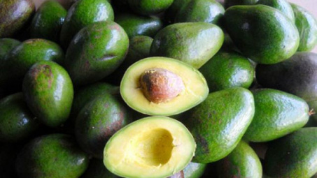 Dak Lak avocado targets world market