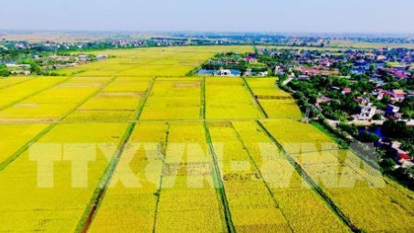 Thai Nguyen spends 840 billion VND on agricultural restructuring 