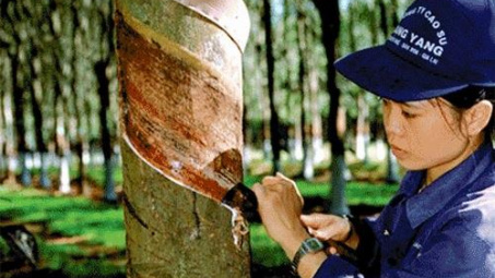 Vietnam Rubber Group to make IPO in second quarter