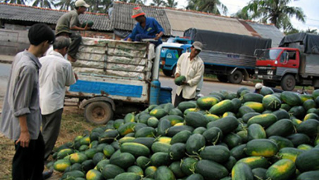 Opportunities for Vietnam’s fruits, vegetables export 