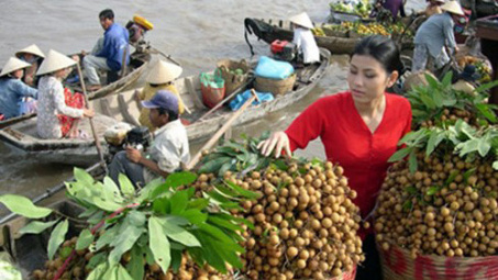 Food safety key for Vietnamese firms to succeed in foreign markets 