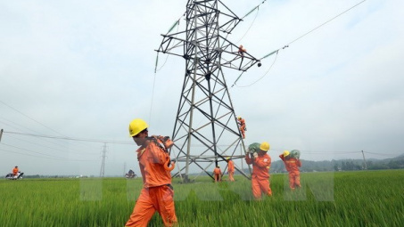 Power sector seeks way to go green over power shortage 