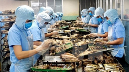 Vietnam’s aquatic product exports hit 2.8 billion USD 