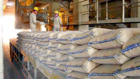 Cement export tax burdens domestic firms