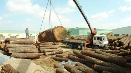 Vietnam earns 6.15 billion USD from wood exports