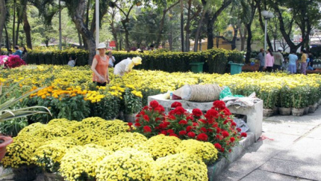 Ho Chi Minh City’s first permanent flower market to open