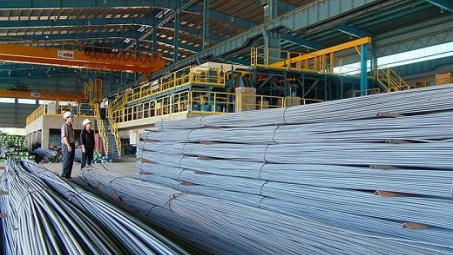 Steel and realty carry HCM Exchange 