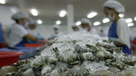Trade ministry urges Australia to lift ban on shrimp imports 
