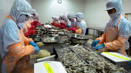Australia relaxes ban on shrimp import 