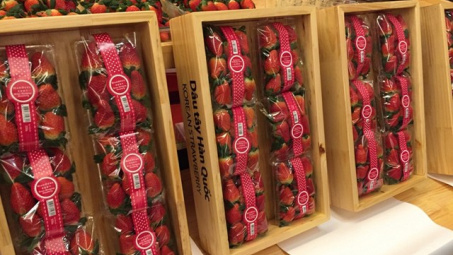 RoK strawberry imports face new rules 