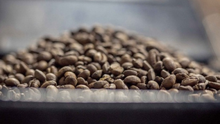 Brazil to import robusta coffee from Vietnam 