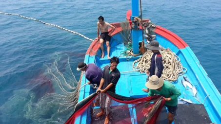 Vietnam won’t tolerate IUU fishing: MARD
