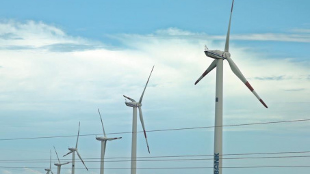 US firm eyes investment in renewable energy in Binh Duong