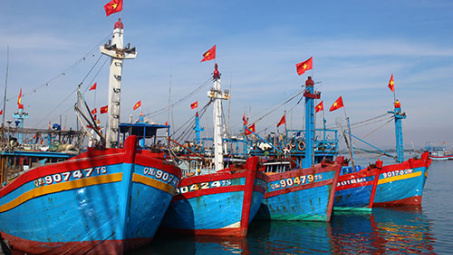 Thanh Hoa develops fishery logistics fleet 